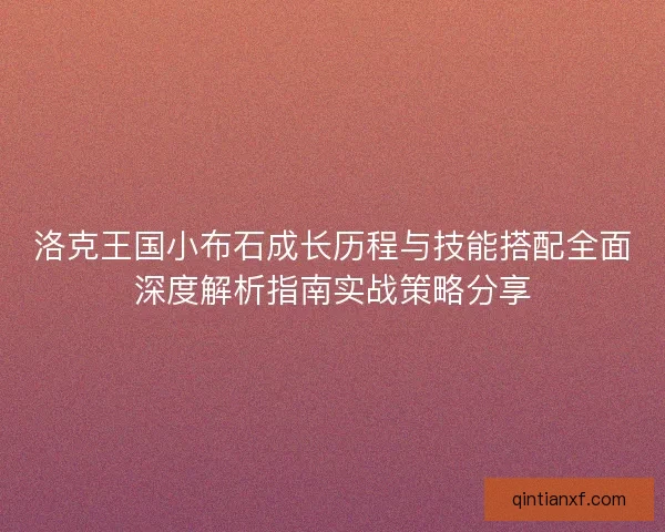 洛克王国小布石成长历程与技能搭配全面深度解析指南实战策略分享
