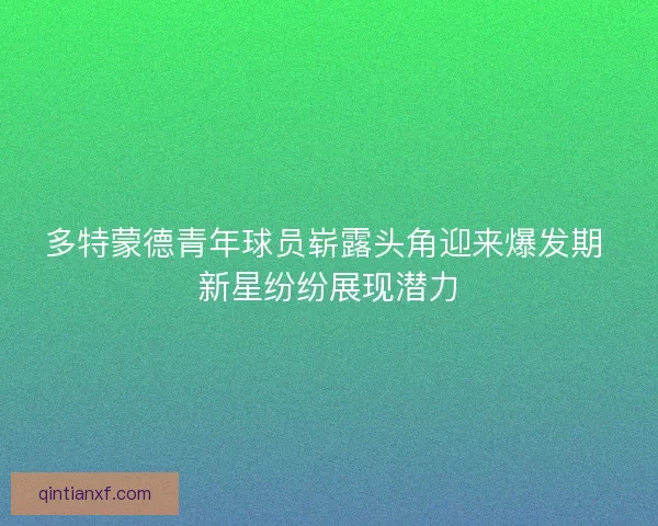 多特蒙德青年球员崭露头角迎来爆发期 新星纷纷展现潜力