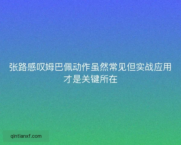 张路感叹姆巴佩动作虽然常见但实战应用才是关键所在 张路感叹姆巴佩动作虽然常见但实战应用才是关键所在